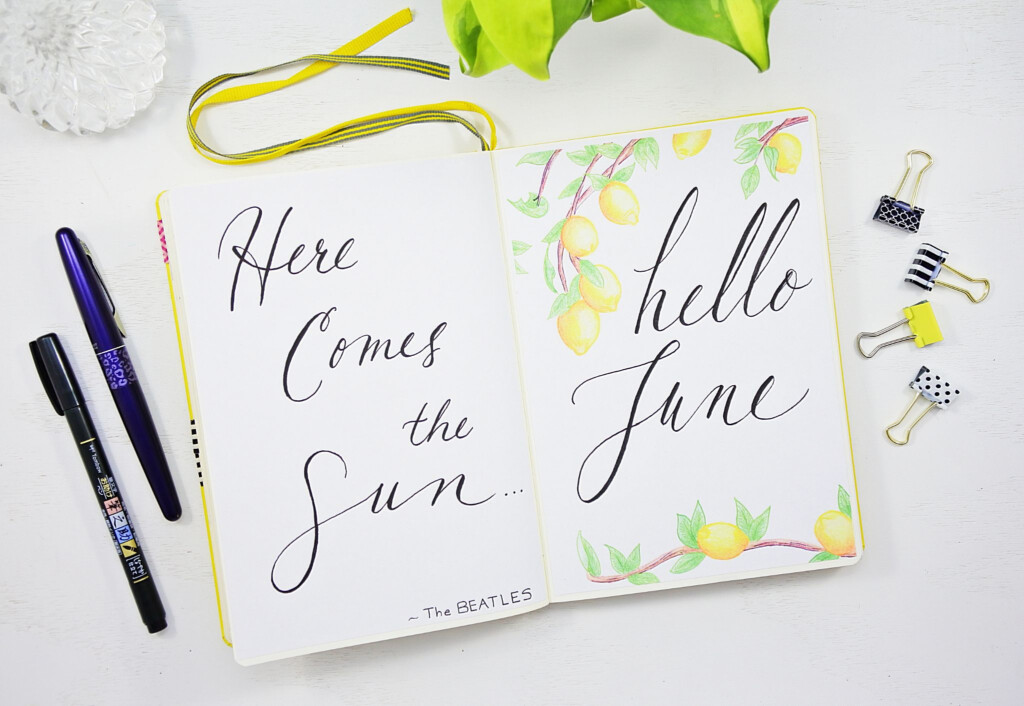 June Setup With Free Printables Sheena Of The Journal