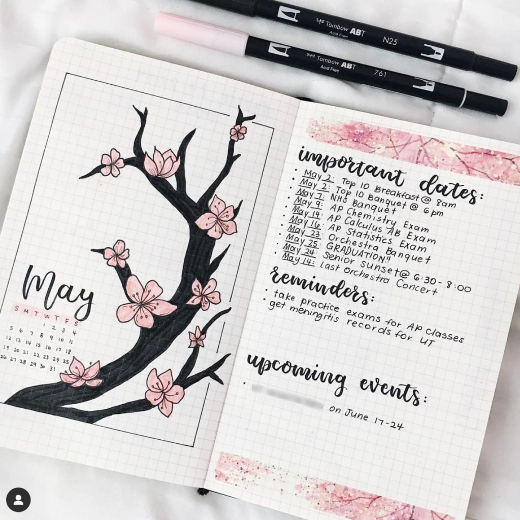 May Bullet Journal Theme Ideas