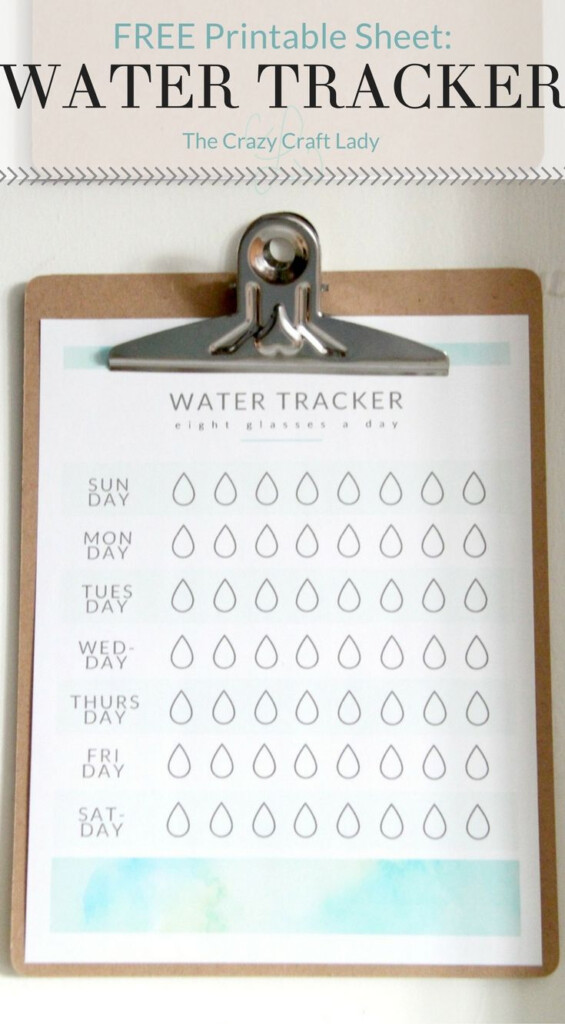 Printable Water Tracker Bullet Journal Water Tracker Bullet Journal 